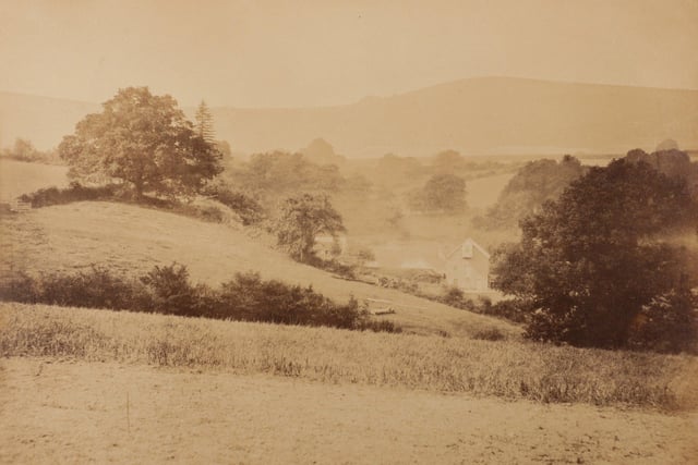 The first known photographs of West Sussex, taken by Captain Thomas Honywood, inventor of the photographic technique known as nature printing