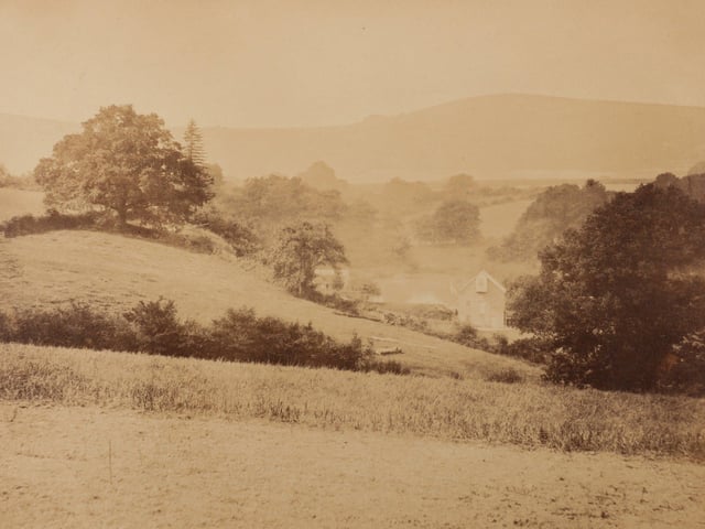 The first known photographs of West Sussex, taken by Captain Thomas Honywood, inventor of the photographic technique known as nature printing