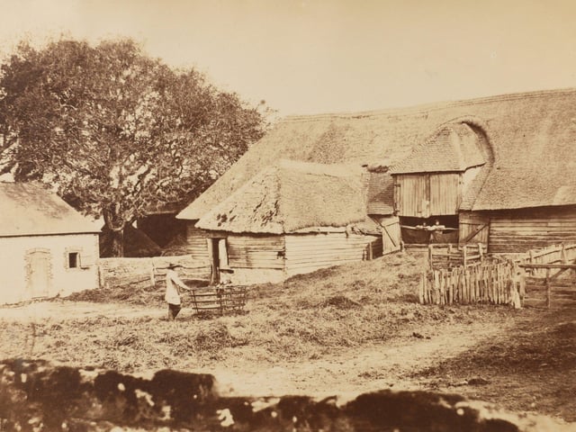The first known photographs of West Sussex, taken by Captain Thomas Honywood, inventor of the photographic technique known as nature printing