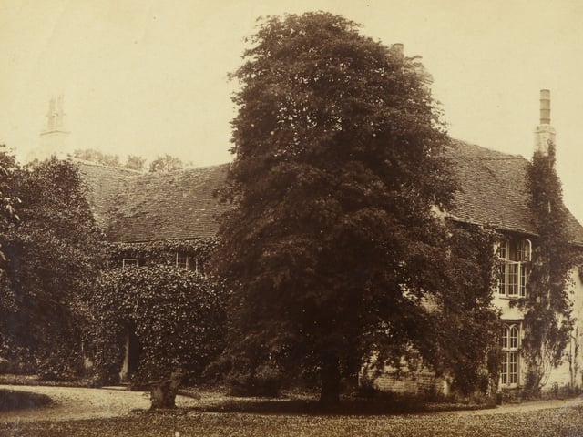 The first known photographs of West Sussex, taken by Captain Thomas Honywood, inventor of the photographic technique known as nature printing