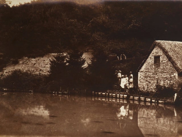 The first known photographs of West Sussex, taken by Captain Thomas Honywood, inventor of the photographic technique known as nature printing