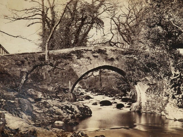 The first known photographs of West Sussex, taken by Captain Thomas Honywood, inventor of the photographic technique known as nature printing