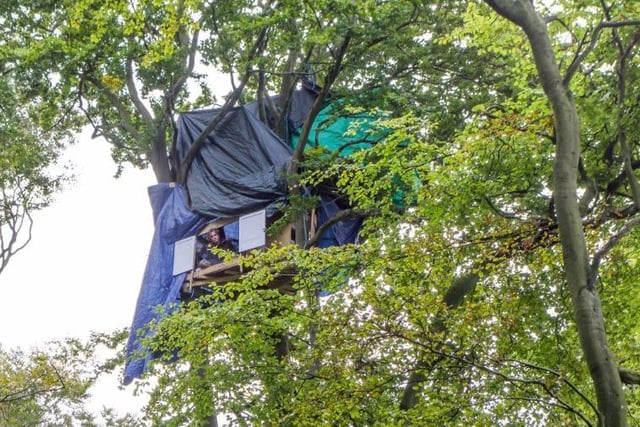 Some campaigners took to the trees to hamper the progress of the clearance