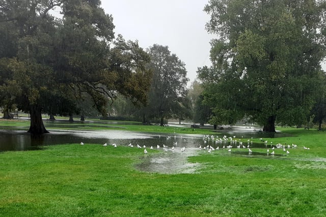 Flooding in Gadebridge Park