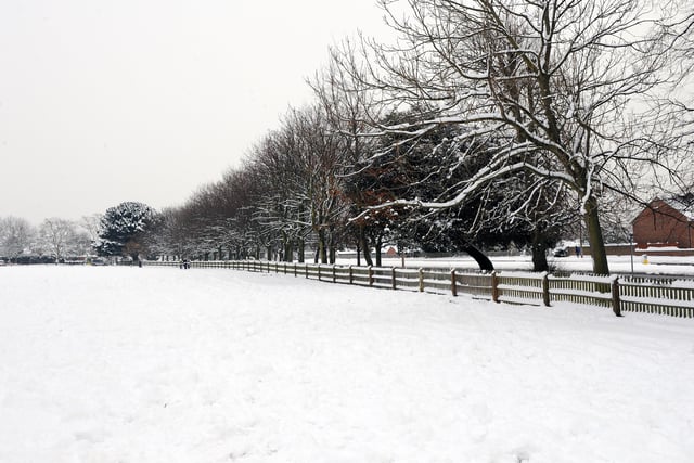Another snowy scene in Buckingham Park, Shoreham
