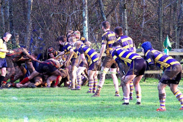 Uckfield v Park House RFC / Picture by Ron Hill