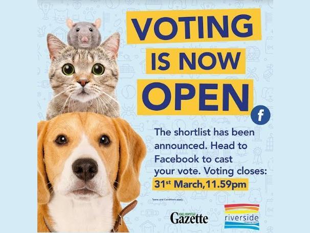 Riverside Shopping Centre reveals top 10 shortlist for Prettiest Pet competition