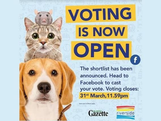 Riverside Shopping Centre reveals top 10 shortlist for Prettiest Pet competition