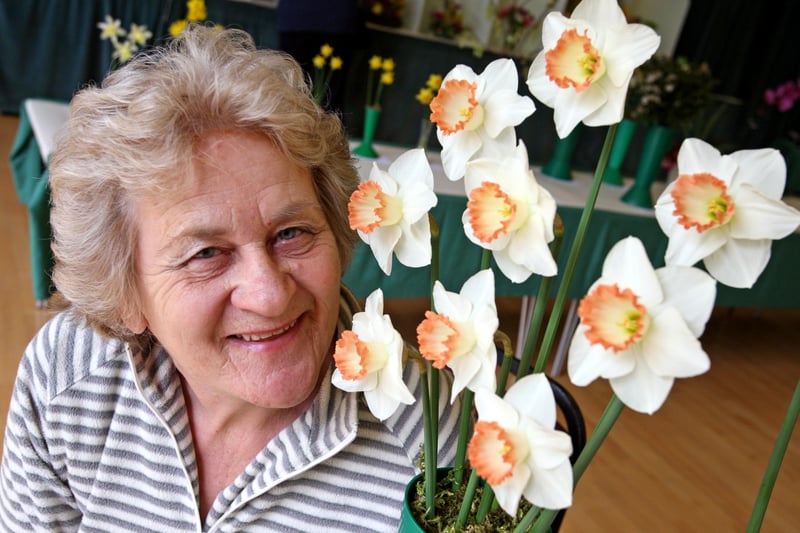 HOR 260311 Steyning Spring Show. Lynne Broome with her daffodils. photo by derek martin ENGSNL00120110328100713