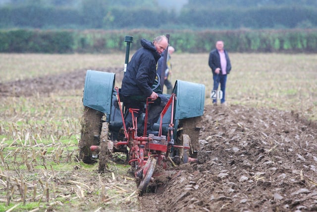 The Sussex County Ploughing Match. Photo: Derek Martin