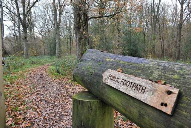 Ebernoe Common is a lovely woodland walk along a bridleway. Picture: Steve Robards
