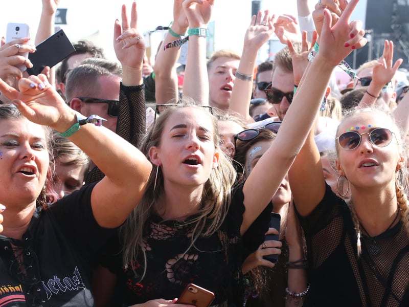 Tens of thousands of people flocked to the Wild Life festival, which was held for three years from 2015 at Shoreham Airport