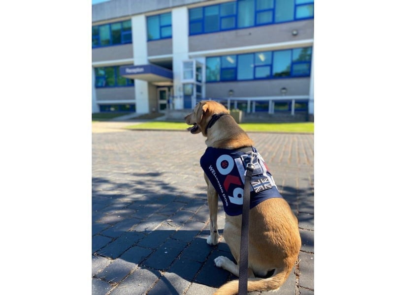 Holly in her wellbeing jacket.