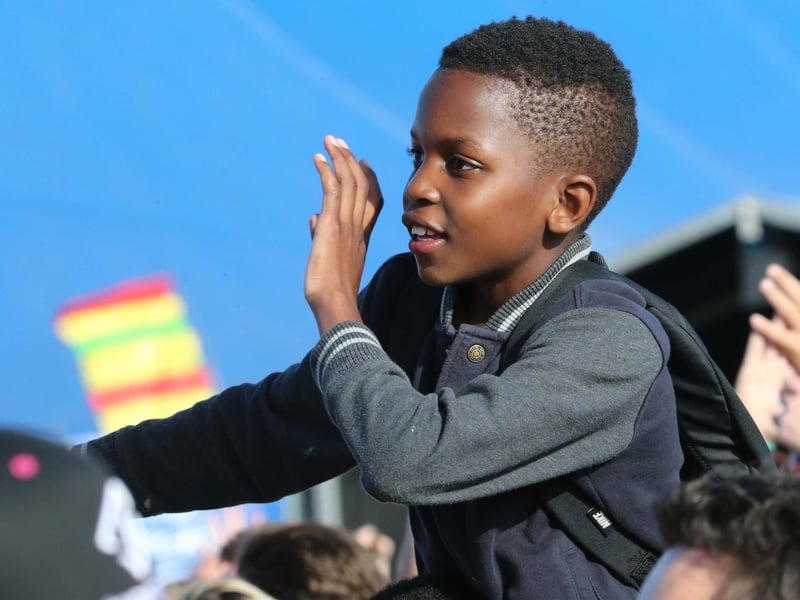 Tens of thousands of people flocked to the Wild Life festival, which was held for three years from 2015 at Shoreham Airport