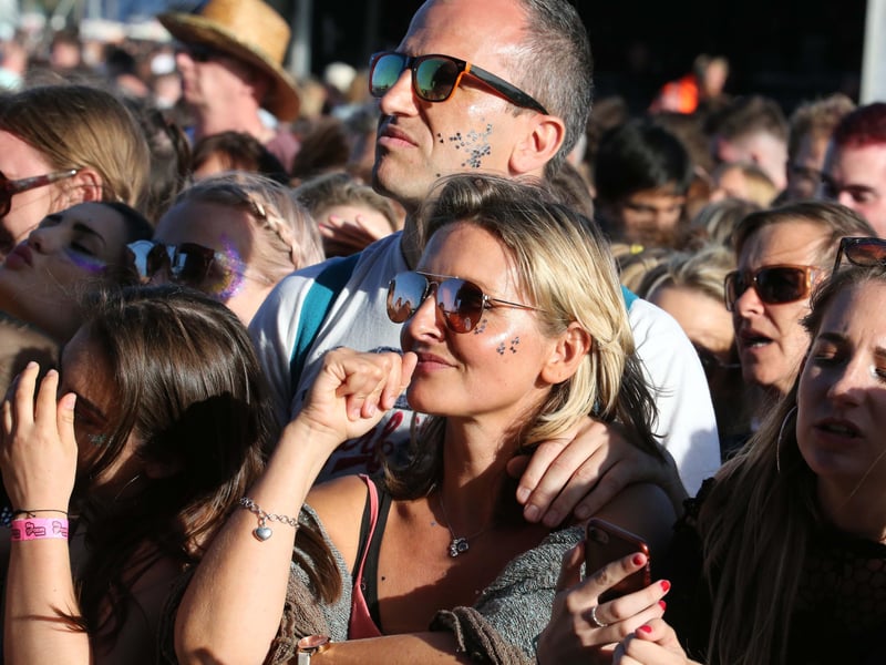 Tens of thousands of people flocked to the Wild Life festival, which was held for three years from 2015 at Shoreham Airport
