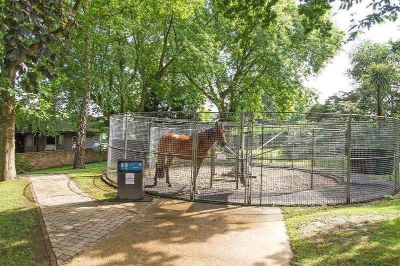 The extensive equestrian facilities