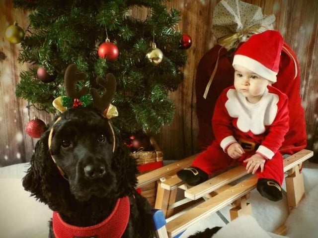 Gill Gallagher - Little 7 month old Robin Olive Bell and her big brother Angus the reindog.