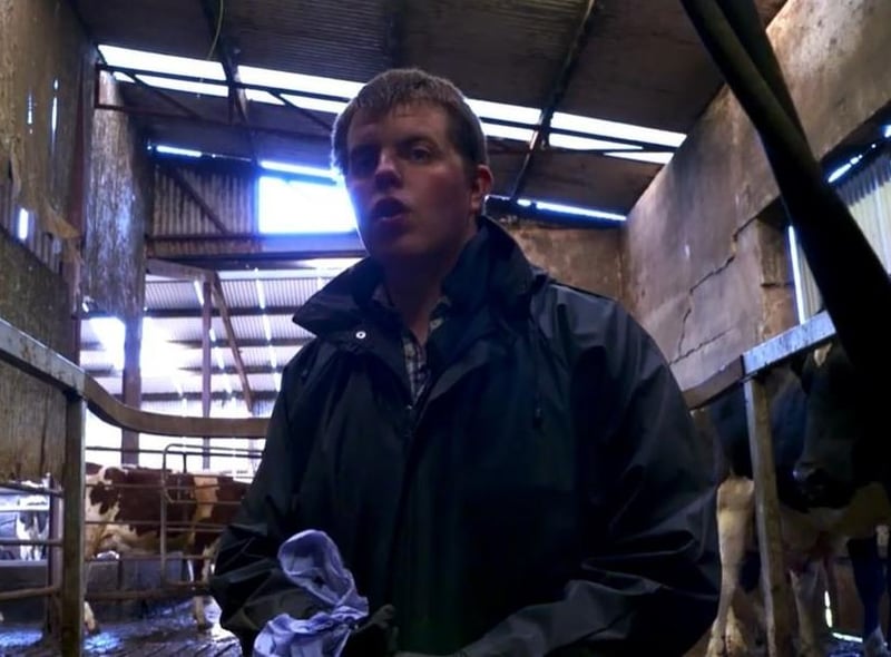 Andrew Little getting the cows ready to go to the fields