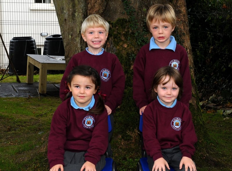 Culmore PS Primary 1 children from Mrs McMenamin and Mrs Geddesâ€TM class. DER2139GS - 029