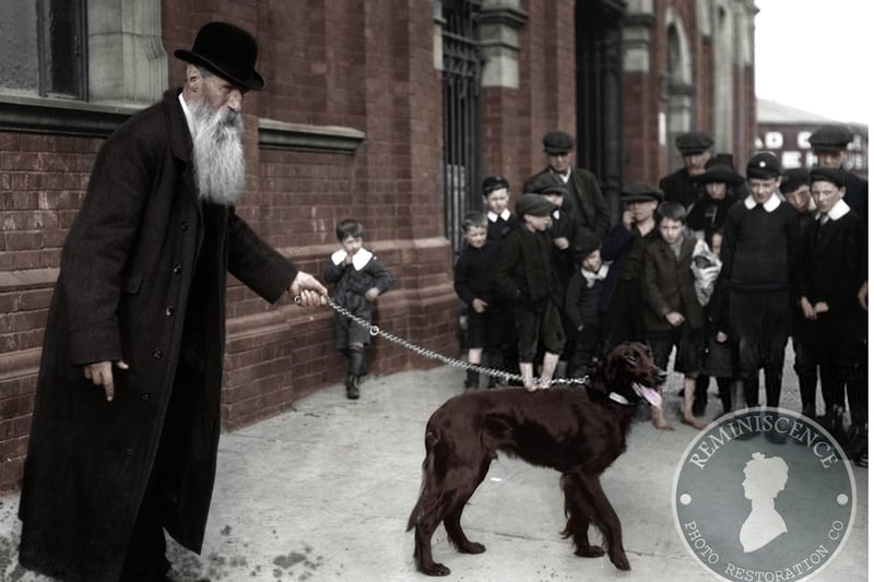 September 1912:  Mr Bond with his Irish Setter 'Derry Sunsrar' arrives at the Belfast Championship Dog Show.  (Photo by Topical Press Agency/Getty Images)