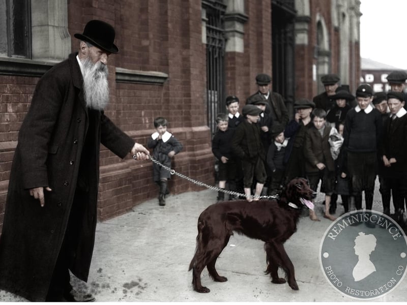 September 1912: Mr Bond with his Irish Setter 'Derry Sunsrar' arrives at the Belfast Championship Dog Show. (Photo by Topical Press Agency/Getty Images)