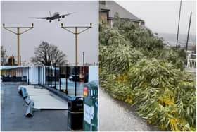 South Yorkshire has been left counting the cost of Storm Eunice after falling trees and flying debris caused havoc.