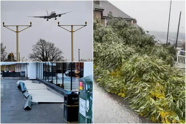South Yorkshire has been left counting the cost of Storm Eunice after falling trees and flying debris caused havoc.