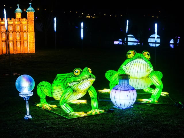 Yorkshire Wildlife Park winter illuminations 2025