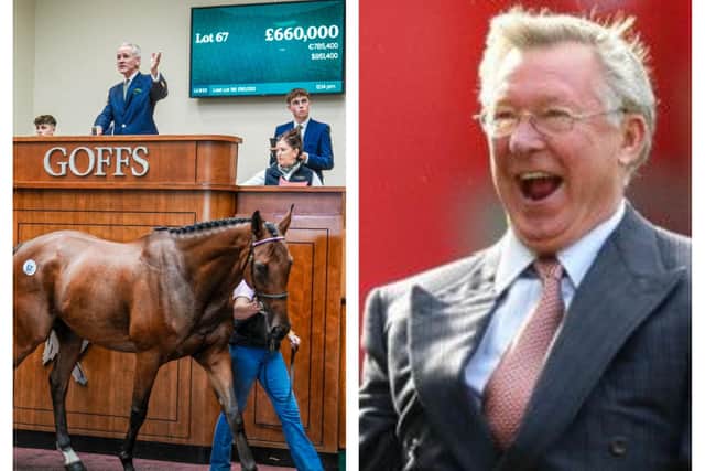 Sir Alex and his pals snapped up the race horse for a whopping £660,000.