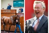 Sir Alex and his pals snapped up the race horse for a whopping £660,000.