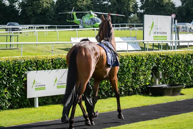 Enjoy a day at the races and help raise money too