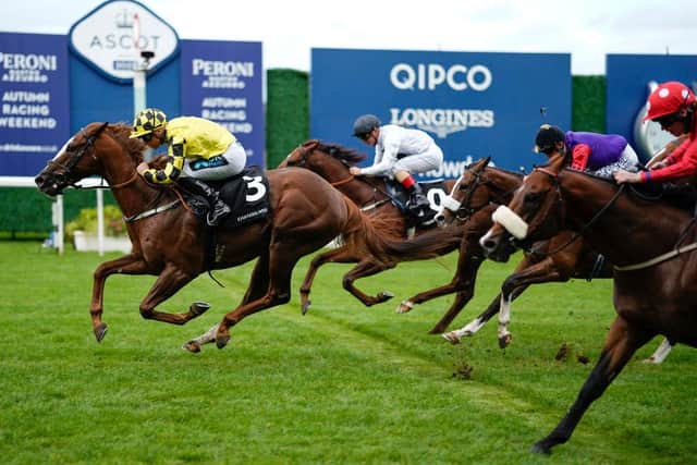 Action from Ascot. Photo: Alan Crowhurst/Getty Images