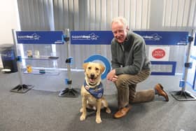 Join David as a member of Support Dogs’ board of trustees.