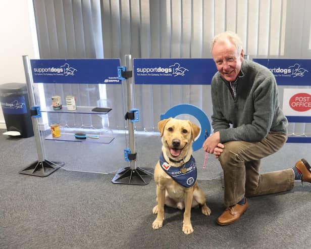 Join David as a member of Support Dogs’ board of trustees.