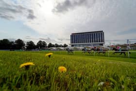 Action from Doncaster. Photo by Alan Crowhurst/Getty Images