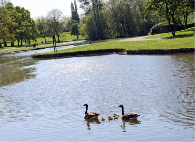 Youngsters were spotted smoking cannabis in Sandall Park.