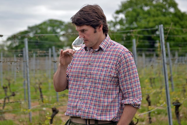 Vineyard tour at Renishaw Hall, pictured is wine maker kieron Atkinson back in 2015