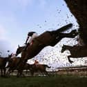 Action from Haydock Park. Photo: David Davies - Pool/Getty Images
