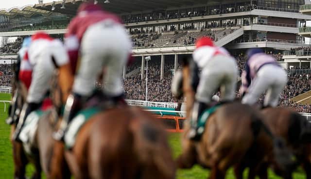 The countdown is on to Cheltenham. Photo by Alan Crowhurst/Getty Images