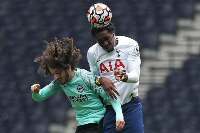 Todd Miller in action for Brighton & Hove Albion against Tottenham Hotspur (photo by Steve Bardens/Getty Images).