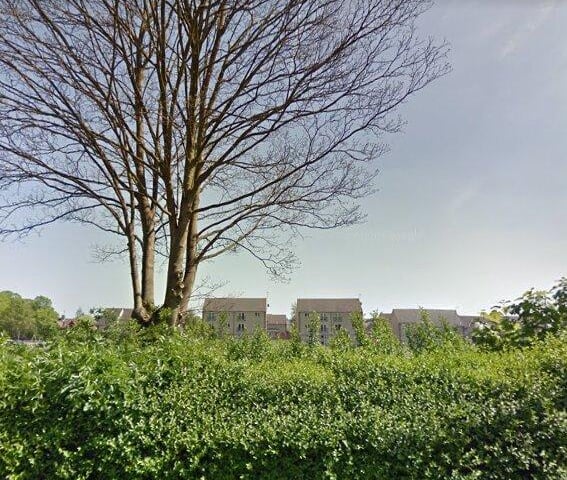 This is the worst affected place in the Mansfield area, with 63 cases recorded between October 21-28.