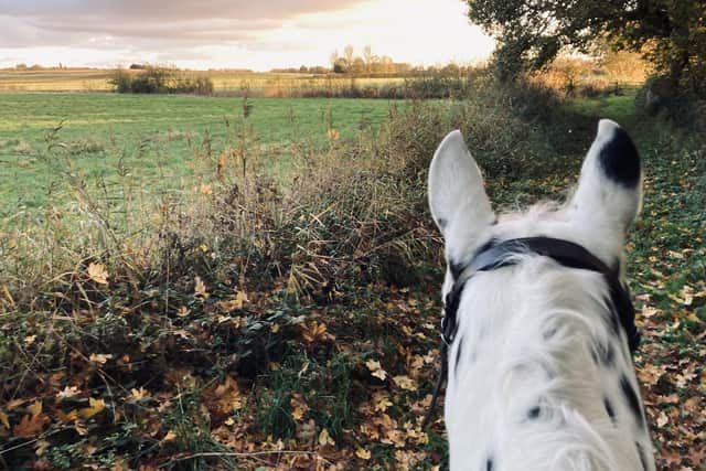 Anita Marsh on her Appaloosa, Sully.