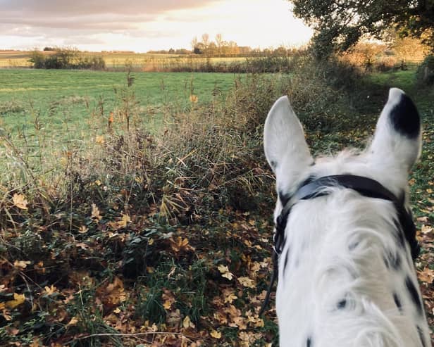 Anita Marsh on her Appaloosa, Sully.