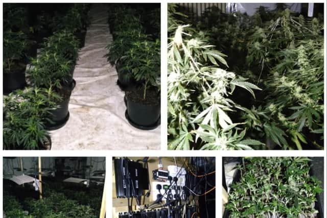 Police found a cannabis set up in Armthorpe.