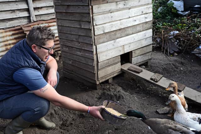 Brad, pictured feeding his Ducks. Picture: NDFP-20-10-20 Duffy 3-NMSY