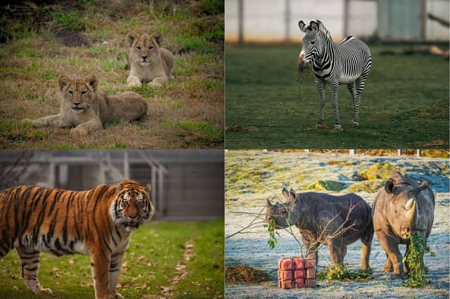 Yorkshire Wildlife Park has shared some of its highlights from the past 12 months