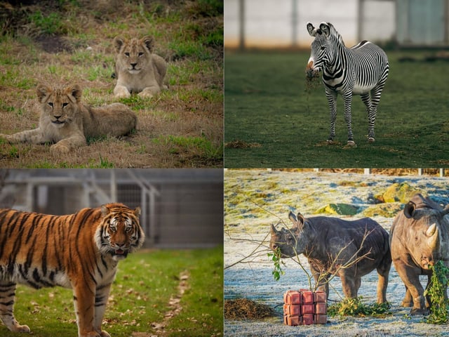 Yorkshire Wildlife Park has shared some of its highlights from the past 12 months