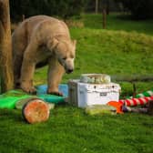 Triplets Yuma, Indie and Tala, the park’s energetic youngsters, were celebrating their fourth birthday whilst Hamish was celebrating his sixth birthday.