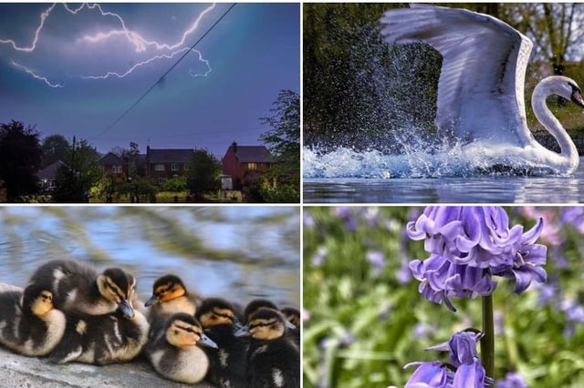 10 wonderful photos from Doncaster people