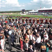 The sell out crowds inthe County Enclosure at the St Leger Festival Ladies Day. Picture: Liz Mockler D7099LM